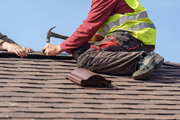 Roof Gutter Cleaning in Gloverville, SC
