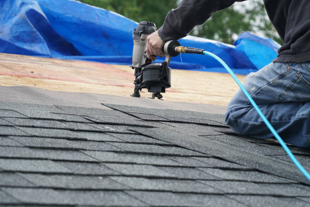 Best Roof Gutter Cleaning  in Gloverville, SC
